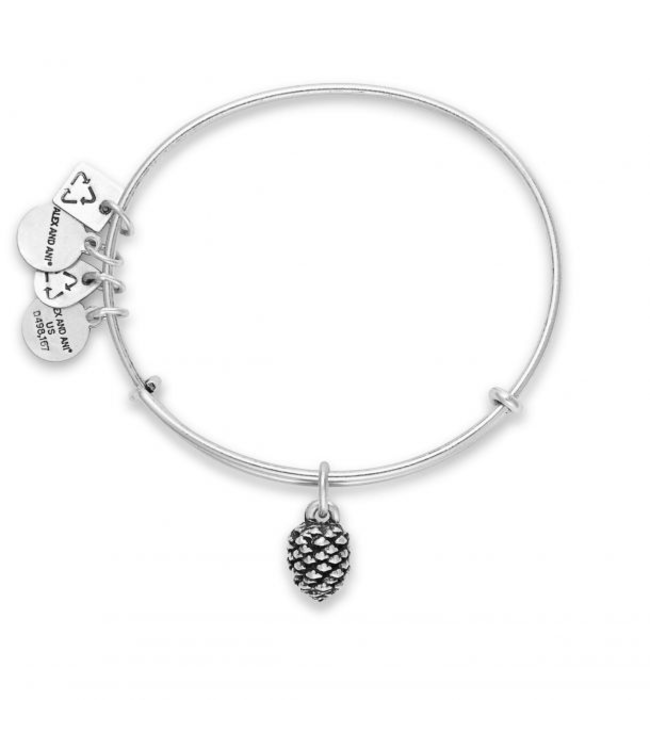 Pinecone Charm Bangle in Silver