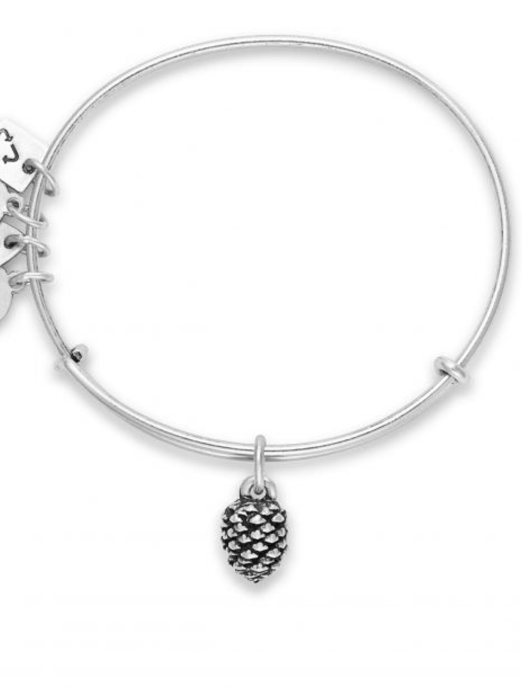 ALEX & ANI Pinecone Charm Bangle in Silver
