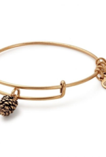 ALEX & ANI Pinecone Charm Bangle in Gold