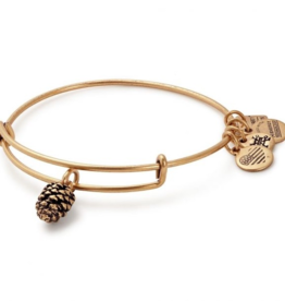 ALEX & ANI Pinecone Charm Bangle in Gold