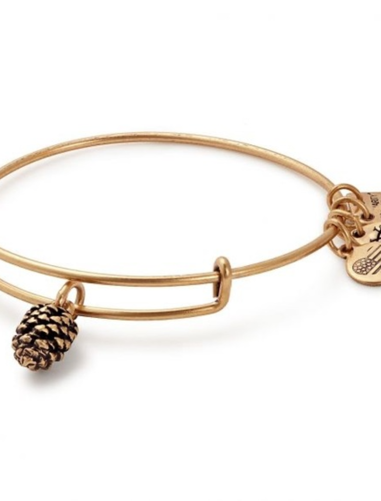 ALEX & ANI Pinecone Charm Bangle in Gold