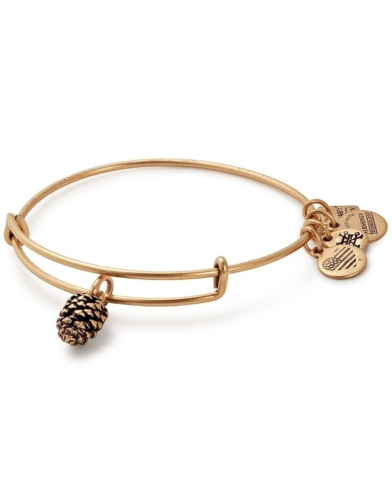 ALEX & ANI Pinecone Charm Bangle in Gold