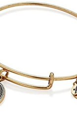 ALEX & ANI Stand Up To Cancer Charm Bangle in Gold