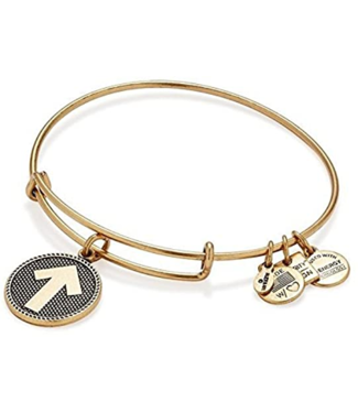 ALEX & ANI Stand Up To Cancer Charm Bangle in Gold