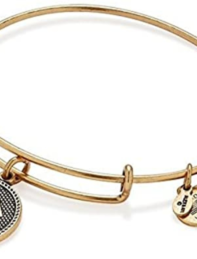 ALEX & ANI Stand Up To Cancer Charm Bangle in Gold