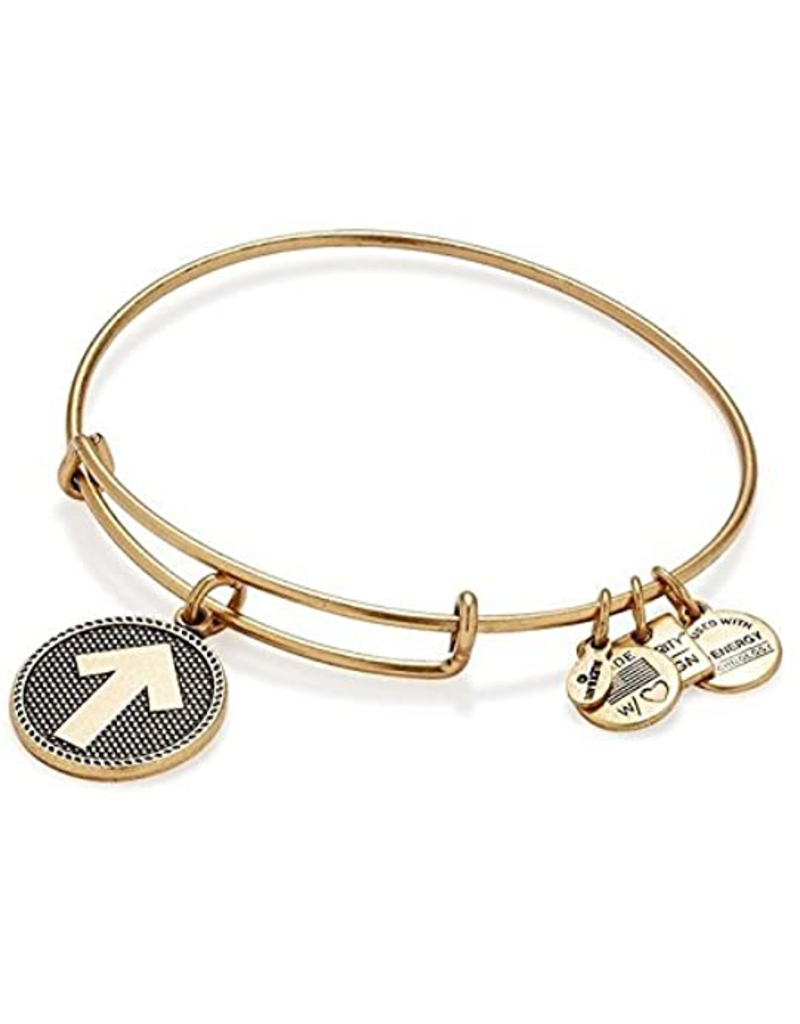 ALEX & ANI Stand Up To Cancer Charm Bangle in Gold
