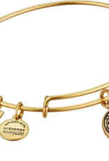 ALEX & ANI Power Of Unity Charm Bangle in Gold