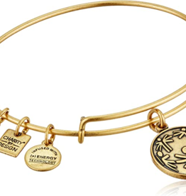 ALEX & ANI Power Of Unity Charm Bangle in Gold