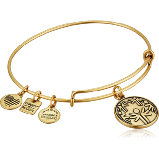 ALEX & ANI Power Of Unity Charm Bangle in Gold