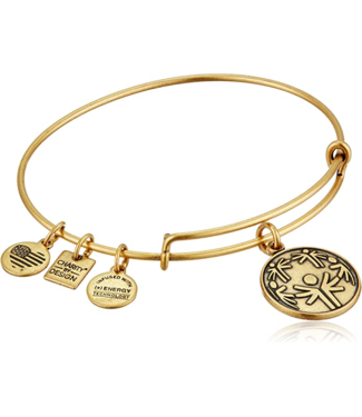 ALEX & ANI Power Of Unity Charm Bangle in Gold