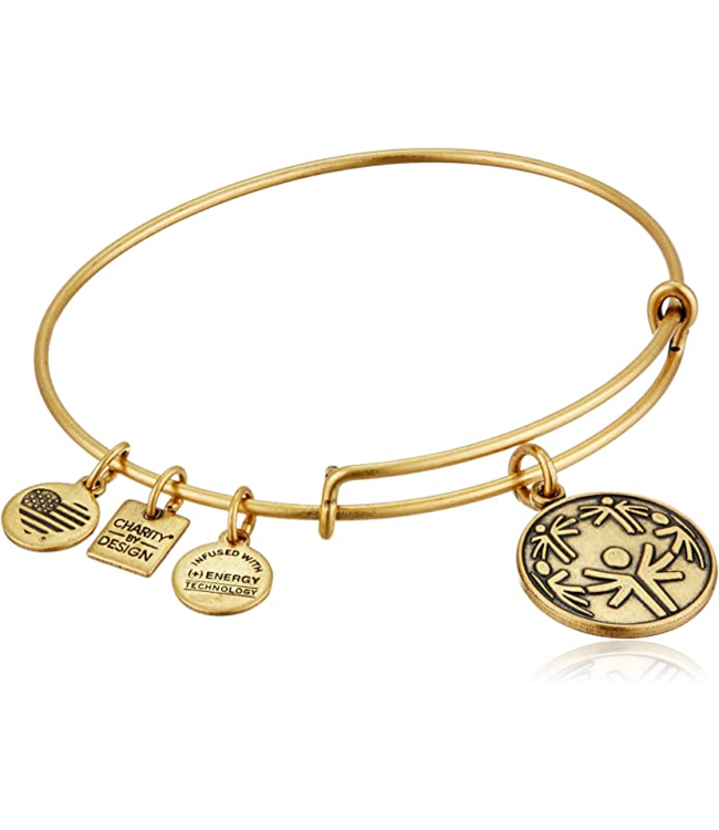 Power Of Unity Charm Bangle in Gold