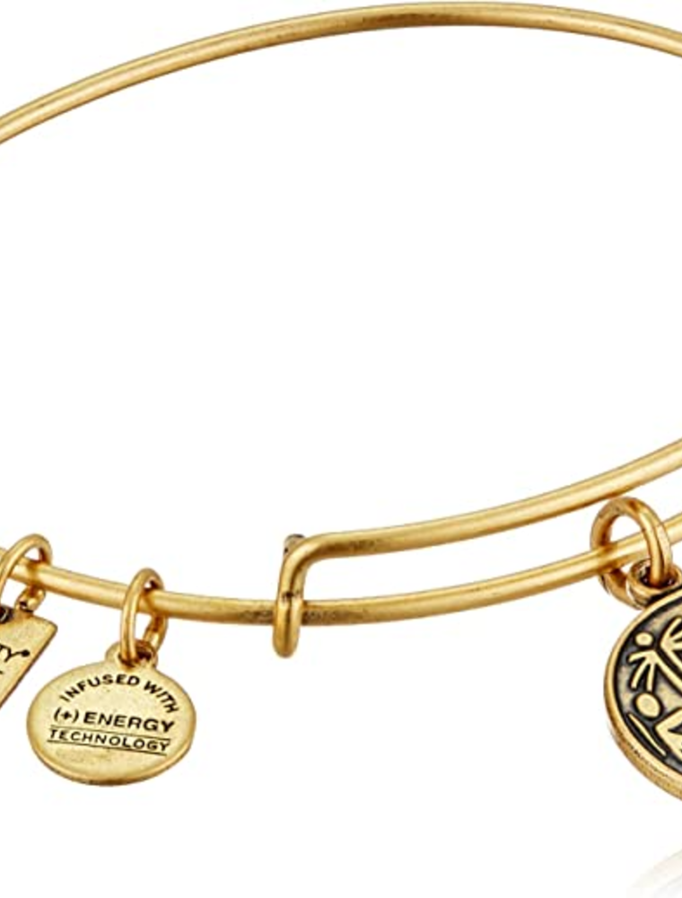 ALEX & ANI Power Of Unity Charm Bangle in Gold