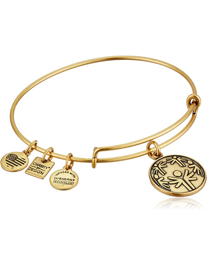 ALEX & ANI Power Of Unity Charm Bangle in Gold