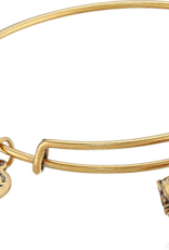 ALEX & ANI Conch Shell Charm Bangle in Gold