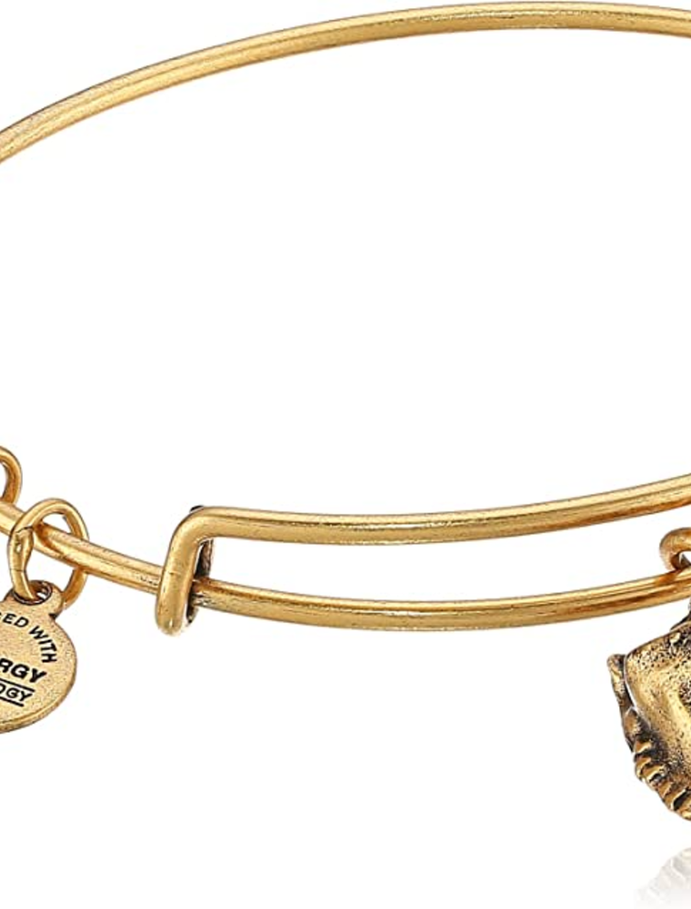 ALEX & ANI Conch Shell Charm Bangle in Gold