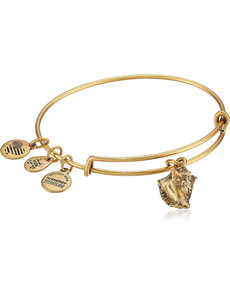 ALEX & ANI Conch Shell Charm Bangle in Gold
