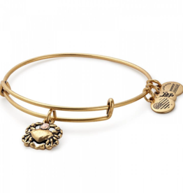 ALEX & ANI Crab Charm Bangle in Gold