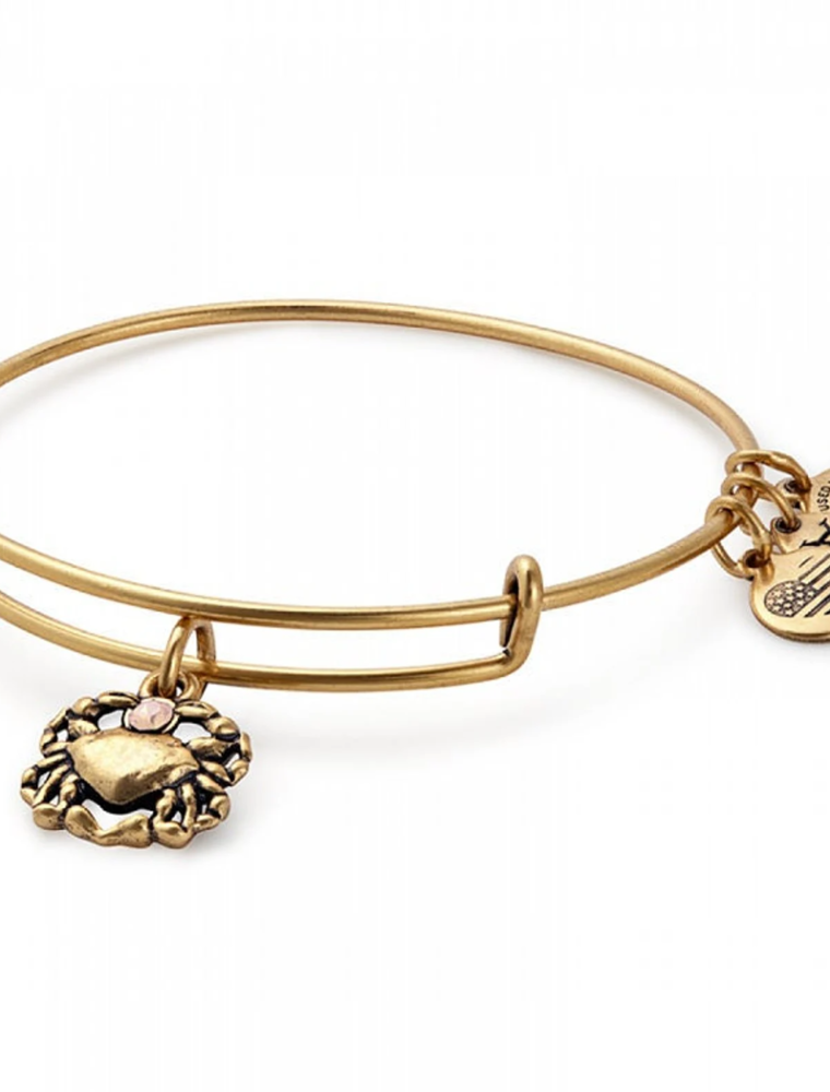 ALEX & ANI Crab Charm Bangle in Gold