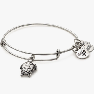 ALEX & ANI Sea Turtle Charm Bangle in Silver