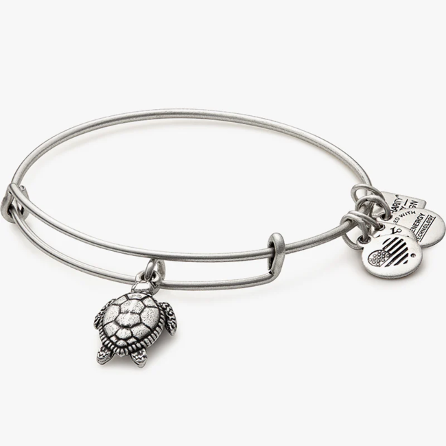 Sea Turtle Charm Bangle in Silver