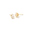 Cailin Gold Crystal Stud Earrings in White Crystal