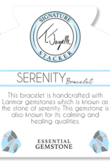TJAZELLE Serenity Stacker Bracelet in Larimar & Silver