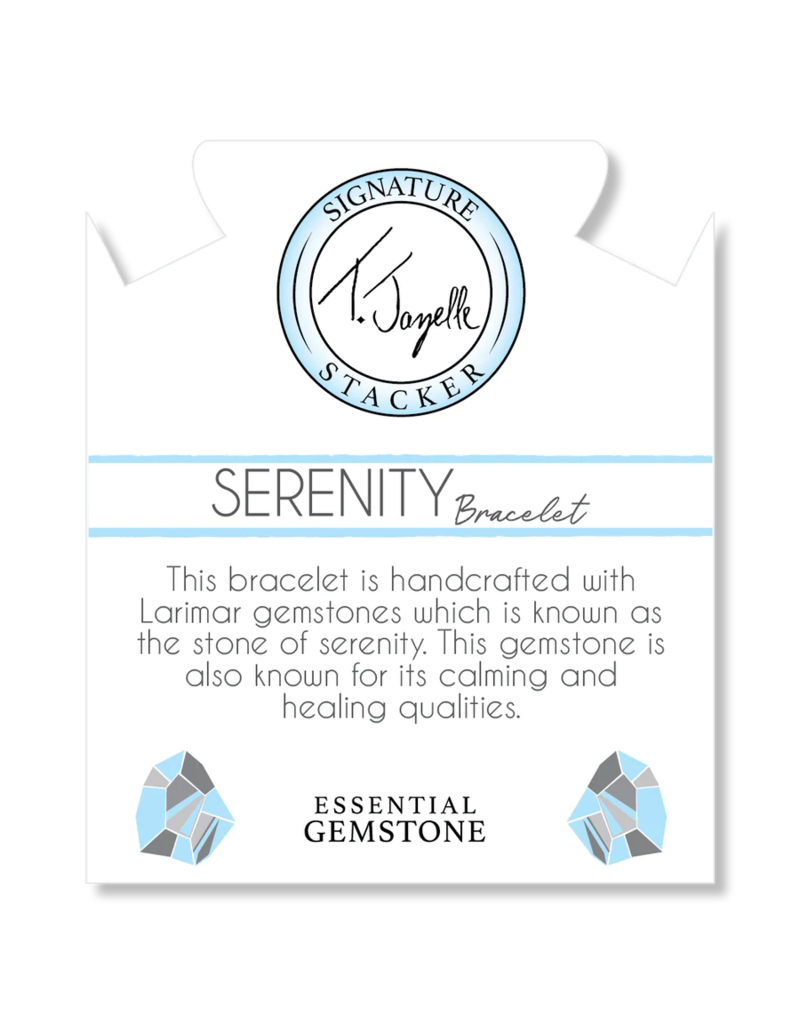 TJAZELLE Serenity Stacker Bracelet in Larimar & Silver