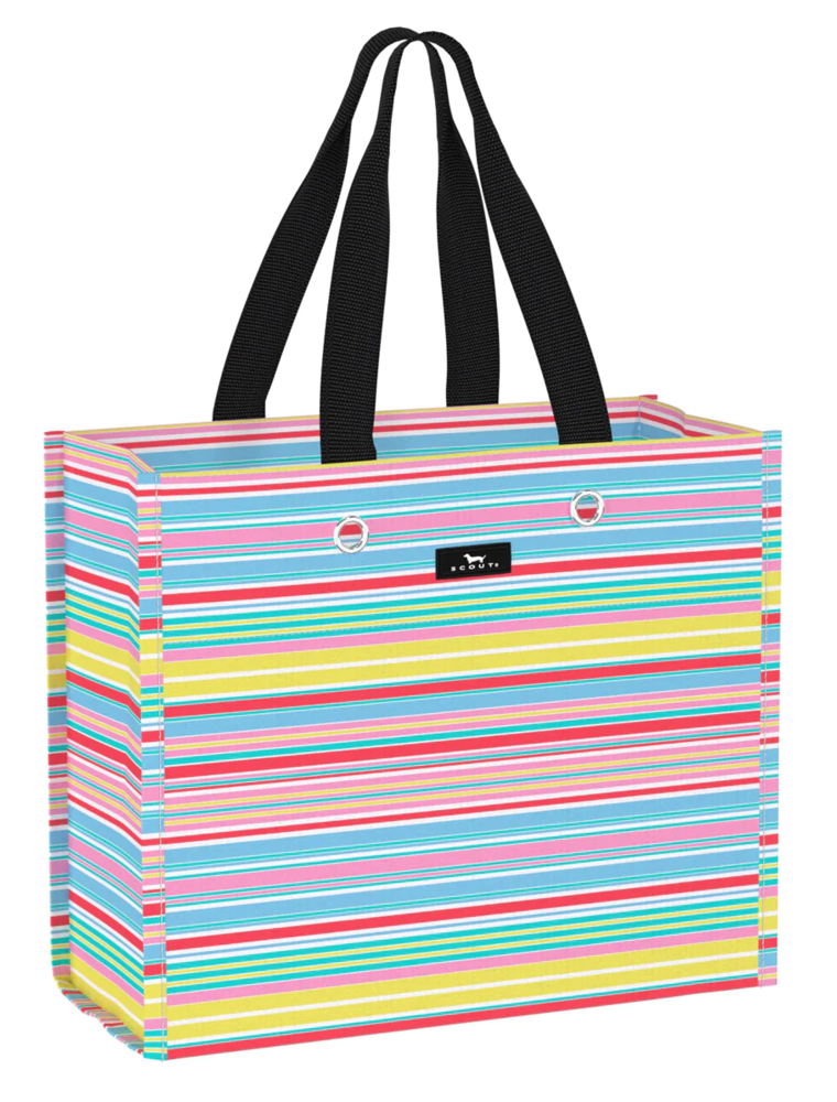 SCOUT Large Package Gift Bag in Ripe Stripe