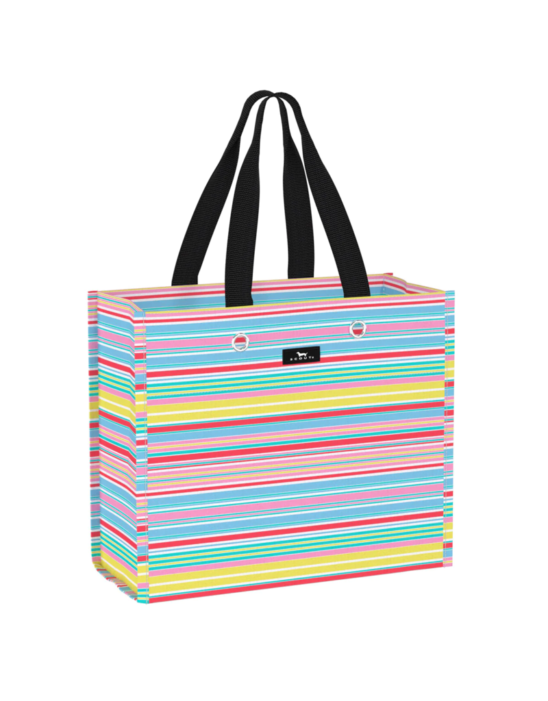 SCOUT Large Package Gift Bag in Ripe Stripe