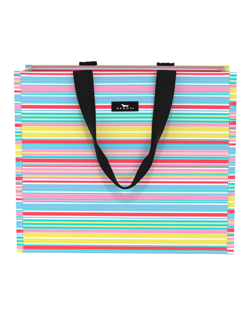 SCOUT Large Package Gift Bag in Ripe Stripe