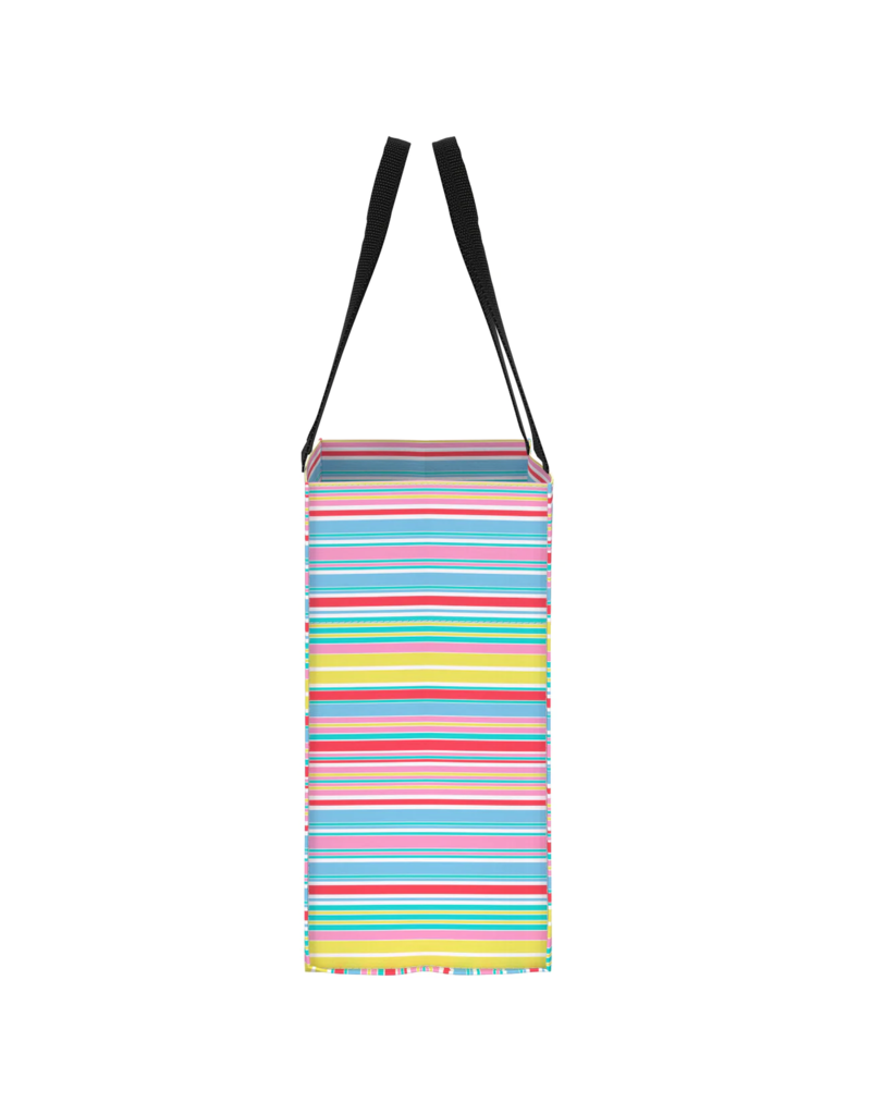 SCOUT Large Package Gift Bag in Ripe Stripe