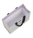 Large Package Gift Bag in Ripe Stripe