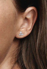 PANDORA Sparkling Herbarium Cluster Stud Earrings