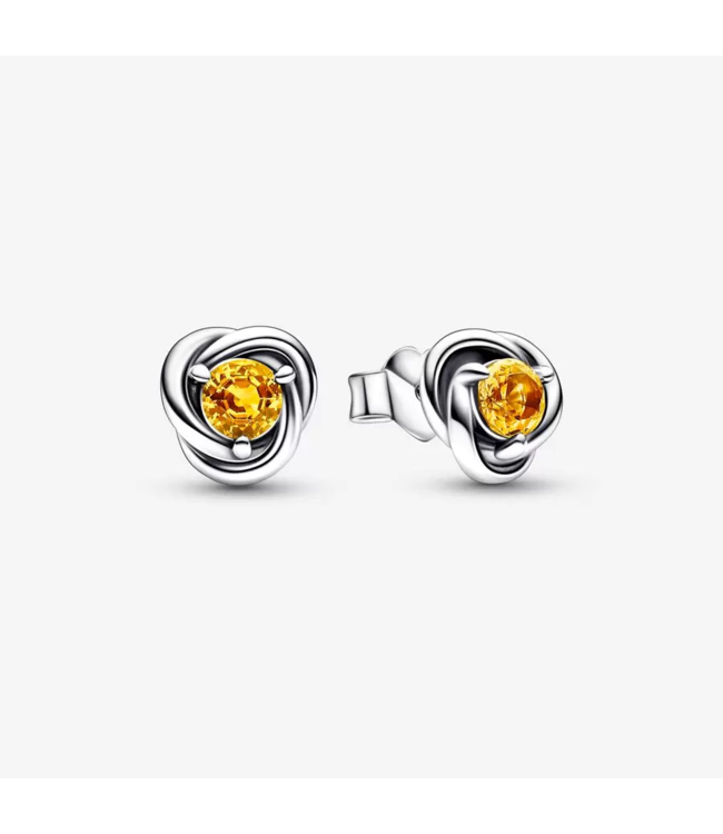 November Honey Eternity Circle Stud Earrings