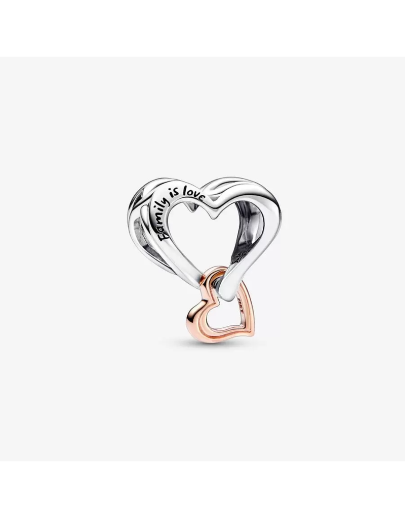 Two-tone Openwork Infinity Heart Charm