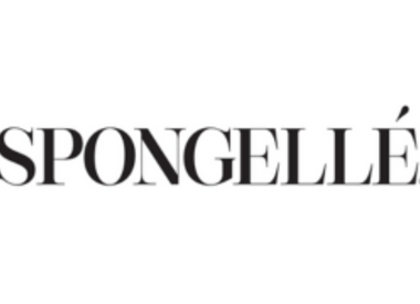 SPONGELLE
