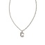 Crystal Letter C Silver Short Pendant Necklace in White Crystal