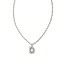 Crystal Letter D Silver Short Pendant Necklace in White Crystal