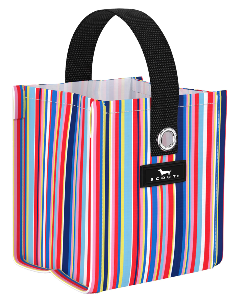SCOUT Mini Package Gift Bag in Line And Dandy