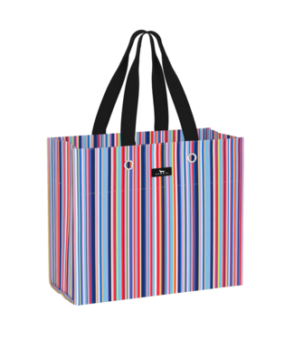 SCOUT Large Package Gift Bag in Line And Dandy