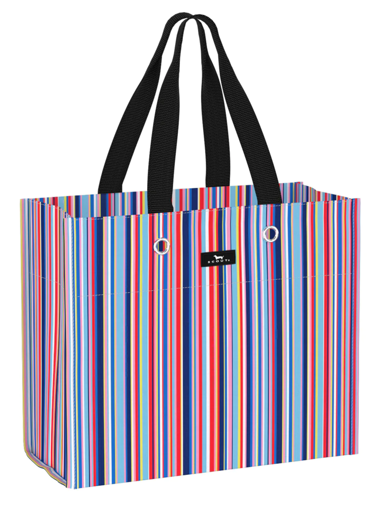 SCOUT Large Package Gift Bag in Line And Dandy