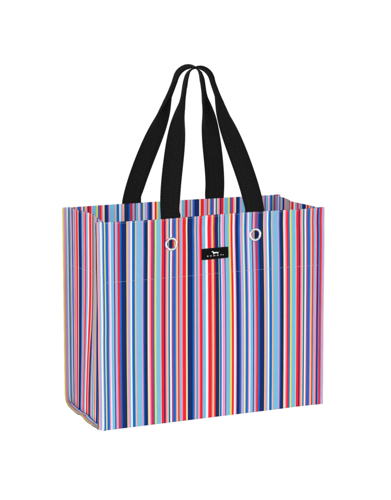 SCOUT Large Package Gift Bag in Line And Dandy