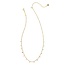 Camry Gold Beaded Strand Necklace in Pastel Mix