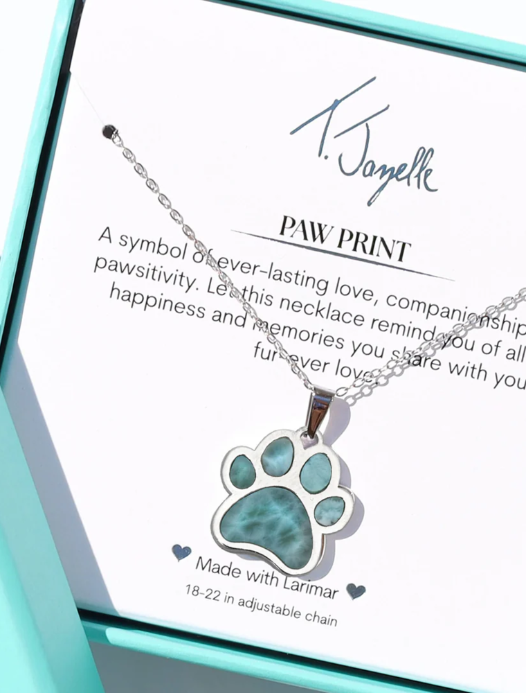 TJAZELLE Larimar Paw Charm Necklace in Silver