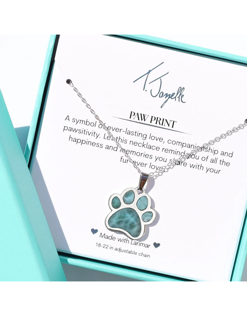 TJAZELLE Larimar Paw Charm Necklace in Silver