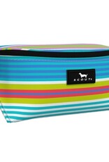 SCOUT Eye Candy Glasses Case in Fruit of Tulum