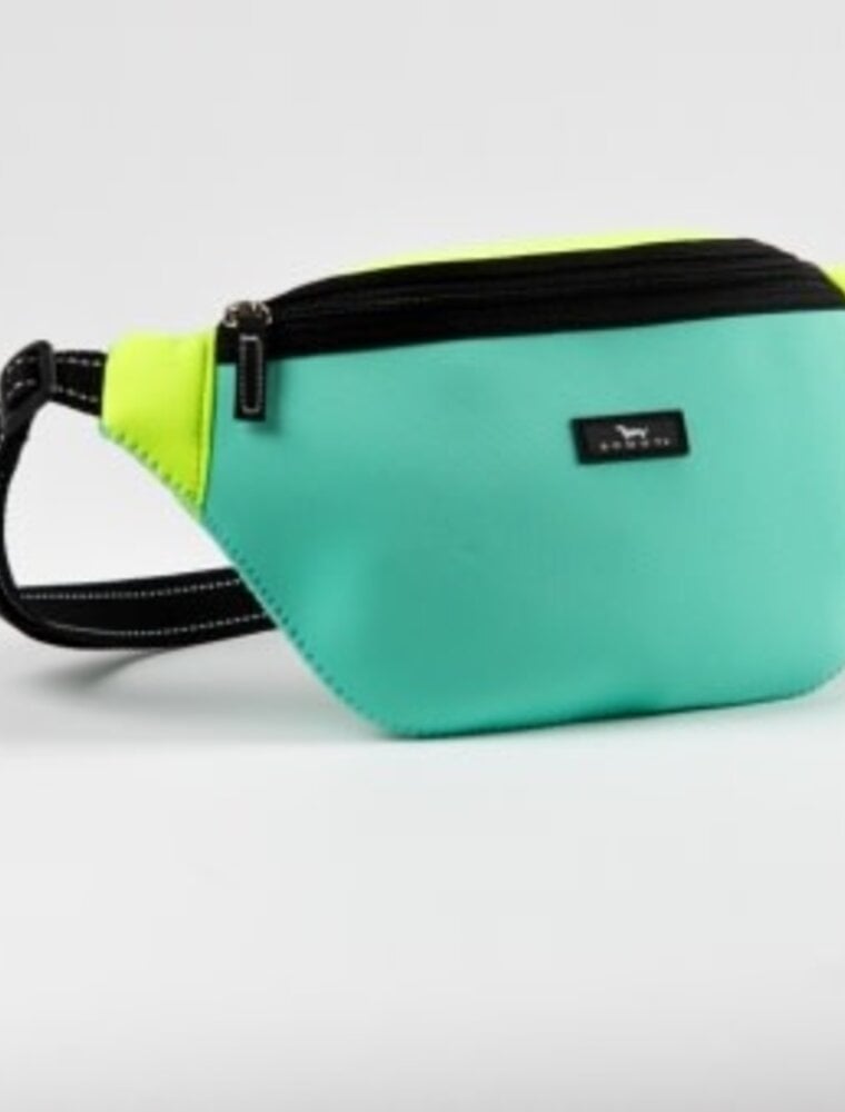 SCOUT Sun Belt Neoprene Belt Bag in Ocean and Soleil