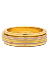 PURA VIDA Pastel Stripe Fidget Ring in Gold PURA VIDA Pastel Stripe Fidget Ring in Gold