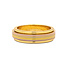 Pastel Stripe Fidget Ring in Gold