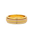 Pastel Stripe Fidget Ring in Gold